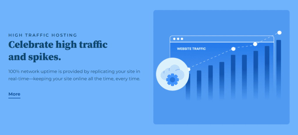   Bluehost biedt 100% netwerk uptime.