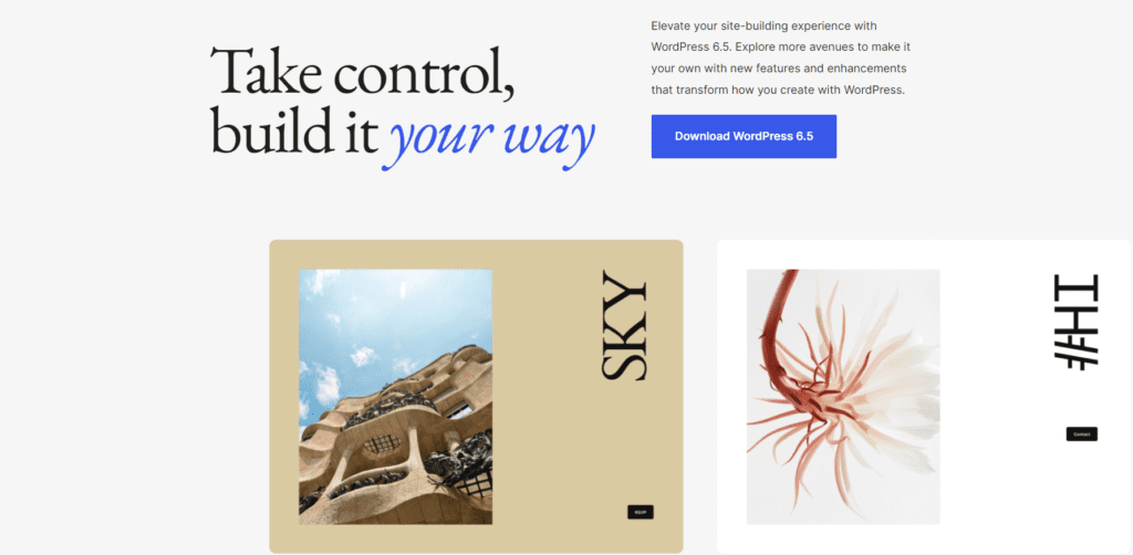 WordPress 6.5 Regina