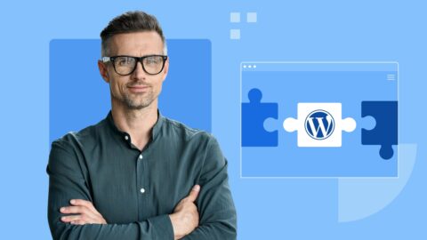 Top 6 Gratis WordPress Plugins voor probleemoplossing van 2024