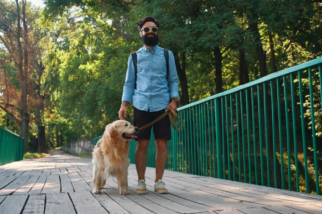 dagelijkse wandelingen met honden