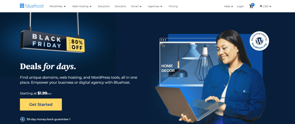 Bluehost Black Friday-uitverkoop