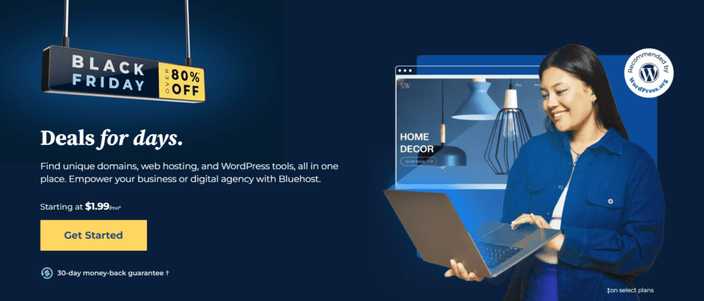 Bluehost website Black Friday uitverkoop  
