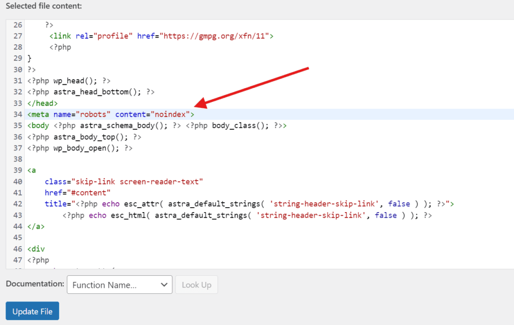 Voer de code in de <head> sectie in