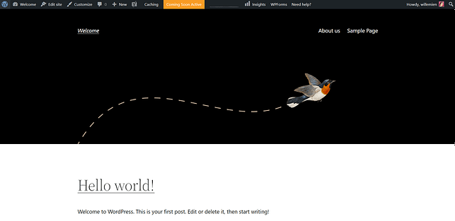 WordPress thema