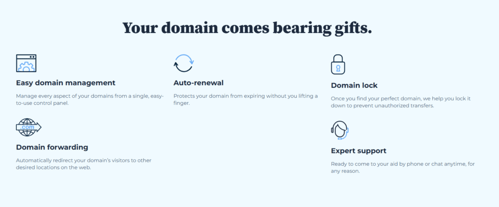 Bluehost Domein