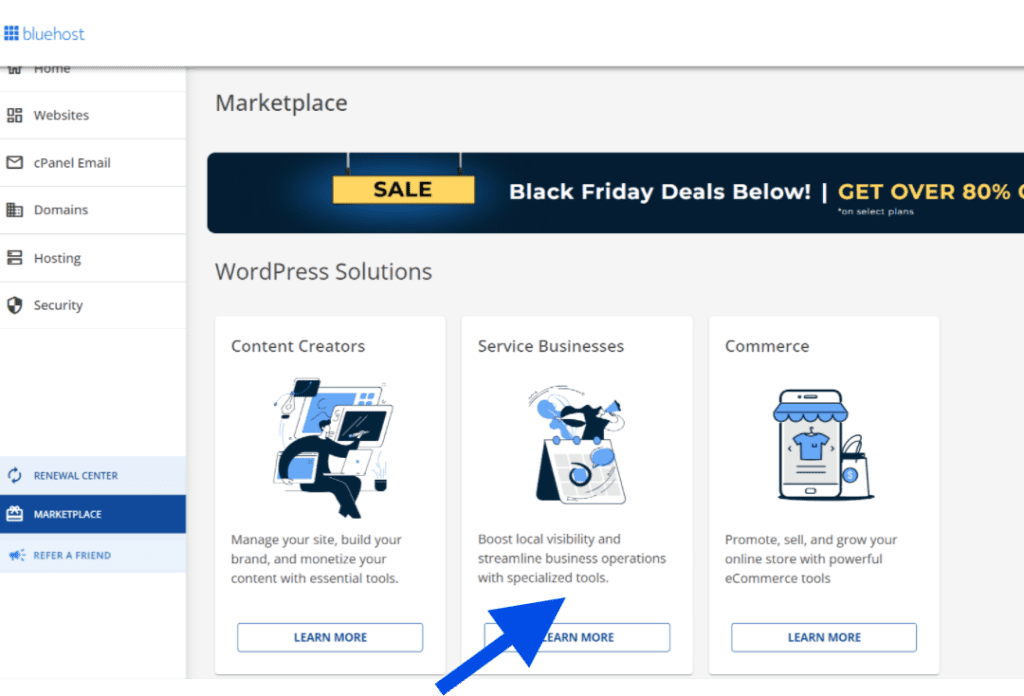 Bluehost WordPress Oplossingen pagina