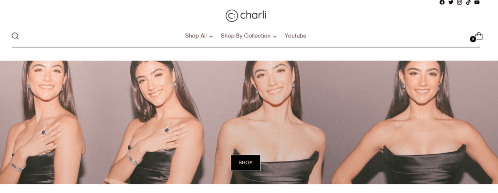 Website van Charli D'Amelio