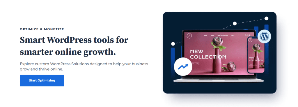 Bluehost CTA - Begin met optimaliseren  