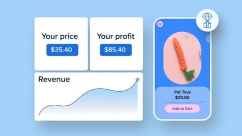 Beginnersgids: Hoe te beginnen met dropshipping in 2025