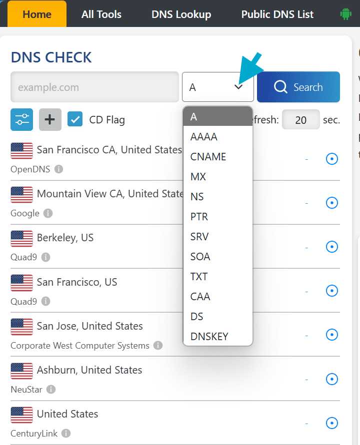 DNS-controle
