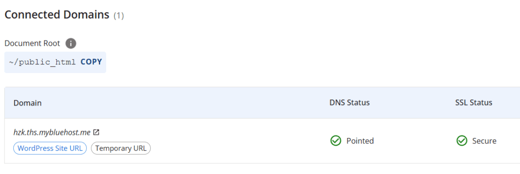 DNS-instelling